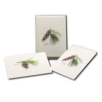Earth Sky + Water - Pinecone Assortment Notecard Set - 8 Blank Cards with Envelopes (4 Each of 2 Styles)