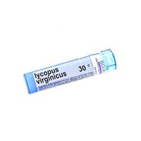 Boiron Lycopus Virginicus, 30c, Blue, 80 Count