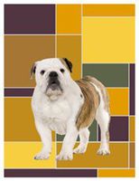 Bulldog Boxed Blank Notecards Box of 10