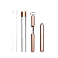 Reusable Stainless Steel Straws (Gold)