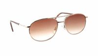 Calabria 1110SB Metal Aviator Sun-Reading Glasses in Gold