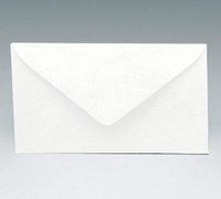 125 ct. White Florist Enclosure Card ENVELOPES RSVP 2-1/2" x 4-1/4"- Small White Red Birthday Anniversary Special Occasion Gift Party Favor