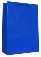 Hallmark's Blue Gift Bag - 3KHB 264J