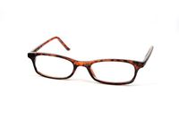 Fashion Clear Slim Lens Thin Rim Eye Glasses P517CL (Tortoise)