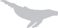 hBARSCI Humpback Whale Vinyl Decal - 5 Inches - for Cars, Trucks, Windows, Laptops, Tablets, Outdoor-Grade 2.5mil Thick Vinyl - Silver Gray