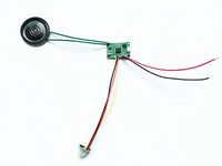 PIR Motion Activated Sound Player Module