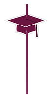 Creative Converting 6 Count Straws with Attachments, Burgundy