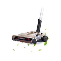 Chengjinxiang Sweeper, Household Electric Push Sweeper, Wireless Vacuum Sweeper, 3 Optional Automatic Wiper (gold/white/black, 12X21×29cm) Strong suction (Color : Gold, Size : 12X21×29cm)