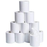 Toilet Paper 10 Rolls Ultra Soft 4-Layers,Gentle Toilet Tissue Paper Enviro Friendly Bath Paper (Pack of 10)
