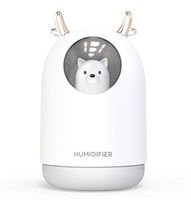 Rockano 200ml Cool Mist Ultrasonic Humidifier by Quooz with Aromatherapy Essential Oil Diffuser Has High and Regular Mist Settings Auto Shut-Off and Adjustable Light Options