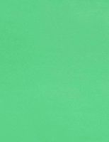 LUX Paper Durable Heavy-Weight Cardstock Paper - 81211-P-17-250, (Pack of 250)