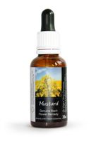Mustard Bach Flower Remedy Large 30ml. Genuine Traditionally Made Essence