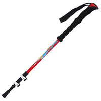 Jolly Trekking Poles/Hiking Poles/Walking Poles - Lightweight Aerospace Aluminum - Collapsible and Adjustable with Telescoping Shafts - Perfect for Hiking, Walking, Backpacking Or Snowshoeing