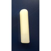 Nylon Tip for WCIB Canes