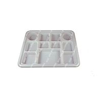 Ten Compartment Disposable Plastic Plate (100)