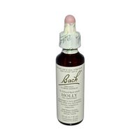 Bach Holly 20 Ml
