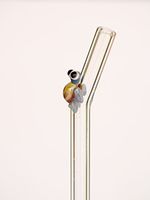 Hummingbird Glass Straws Purple Turtle on Clear Bent Straw 9 in x 9.5 mm With Cleaning Brush