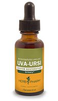 Herb Pharm Uva Ursi Liquid Extract for Urinary System Support - 1 Ounce