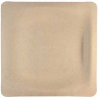 World Centric Compostable Unbleached Plant Fiber Square Plate, 9 inch - 500 per case.