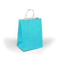Blue Paper Shopping Bags | Quantity: 25 | Width: 5 1/2" Gusset - 3 1/4"