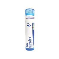 Ruta Graveolens 6C Homeopathic Medicine for Eye Strain Due to Computer Use (80 Pellets)