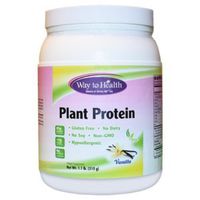 Plant Protein - Vanilla - Vegetarian - 21g Protein Per Serving -1.1 Pound