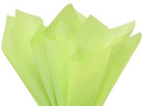 5ct Pistachio Green Tissue Paper for Gift Wrapping 20"x26" Sheets Eco-Friendly nfLG -785