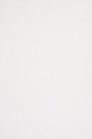 Backdrop Alley White Premium Heavyweight Solid Muslin Photo Background, 10' x 12'