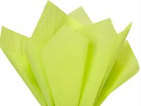 480 Sheets Leaf Green 20x30 Tissue Paper Holiday Weddings Proms Crafts Gifts Party Supplies tokocathy