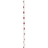 University of Wisconsin Paper Straws