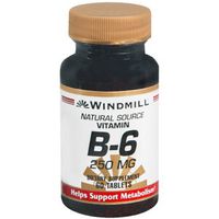 Pack of 3 EACH WM VITAMIN B-6 250MG 60'S PT3504600124 [Health and Beauty]
