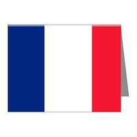 Note Card Flag of France