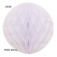 10Pcs YYC-029 (6"/15cm) Decorative Tissue Paper Honeycomb Balls Flower Pastel Birthday Wedding Holiday Party Decorations (White)