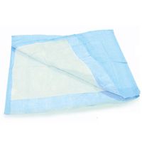 Disposable Underpad - 23" x 36" 6 bags of 20 per case
