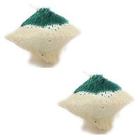 Coleman Company Slip-On Rosette Shape #51 Lantern Mantles (Pack of 2), Green/White