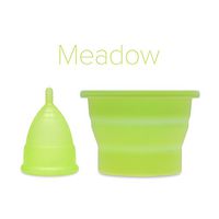 Anigan EvaCup Reusable Menstrual Cup and Collapsible Sterilizing Cup Set, Eco-Friendly, Small Meadow
