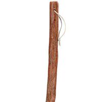 Unisex Cane Natural Sassafras  -Affordable Gift! Item #DHAR-9123000