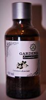 Gardenia 100% Pure Essential Oil From Bali (Gardenia 100% Pure Essential Oil, 50ml)