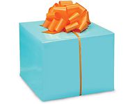 Solid Color Gloss Gift Wrap Paper - Turquoise - 24 inches x 417 feet