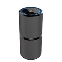 FIGO Air Purifier Portable Cleaner Car Ionizer Air Purifier Removes Dust Cigarette Smoke Haze PM2.5 Bad Odors 5V Dual USB (Black)