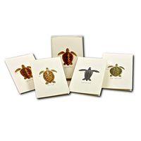 Earth Sky + Water - Sea Turtle Juveniles Assortment Notecard Set - 8 Blank Cards with Envelopes (2 each of 4 styles)
