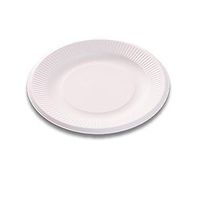 HUPLUE 100Pcs Compostable 5" Paper Plates Disposable Dinnerware Paper Plate Dessert Dinner Plates