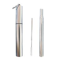 Dreamseeker Reusable Stainless Steel Straw Set with Cleaning Brush, Portable Telescope Metal Drinking Straw for Travel, Household, Office