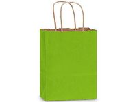 Apple Green Kraft Paper Gift Bags Set of 5