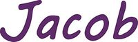 hBARSCI Jacob Vinyl Decal - 5 Inches - for Cars, Trucks, Windows, Laptops, Tablets, Outdoor-Grade 2.5mil Thick Vinyl - Violet