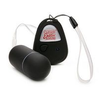 The Original Remote Control Egg