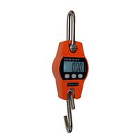zyy Hook Electronic Scale, 300kg/660lb Mini Stainless Steel Portable Parcel Postal Pig Sheep Livestock Weighing (Color : Orange, Size : 300kg100g)
