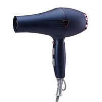 QAZWSXE Powerful Hairdryer,Lightweight Hairdryer,Hair Dryer with Hot and Cold Wind Turn Button Honeycomb Filter Back Cover Fast Dry Hair Portable Hook Easy to Clean