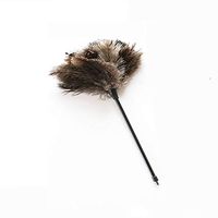 SSRSHDZW Feather Duster Mini Ostrich Hair Vacuum Cleaner Dust Mites Household Dusting Brush Office Computer Calligraphy and Other Small Area Dust