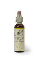 Bach Original Flower Remedies 20ml dropper - Chestnut Bud (Aesculus hippocastanum)